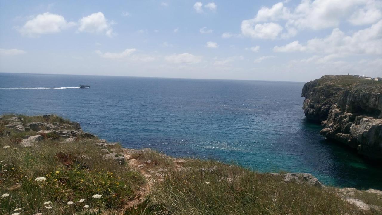 דירות בליאל Filipe'S House מראה חיצוני תמונה