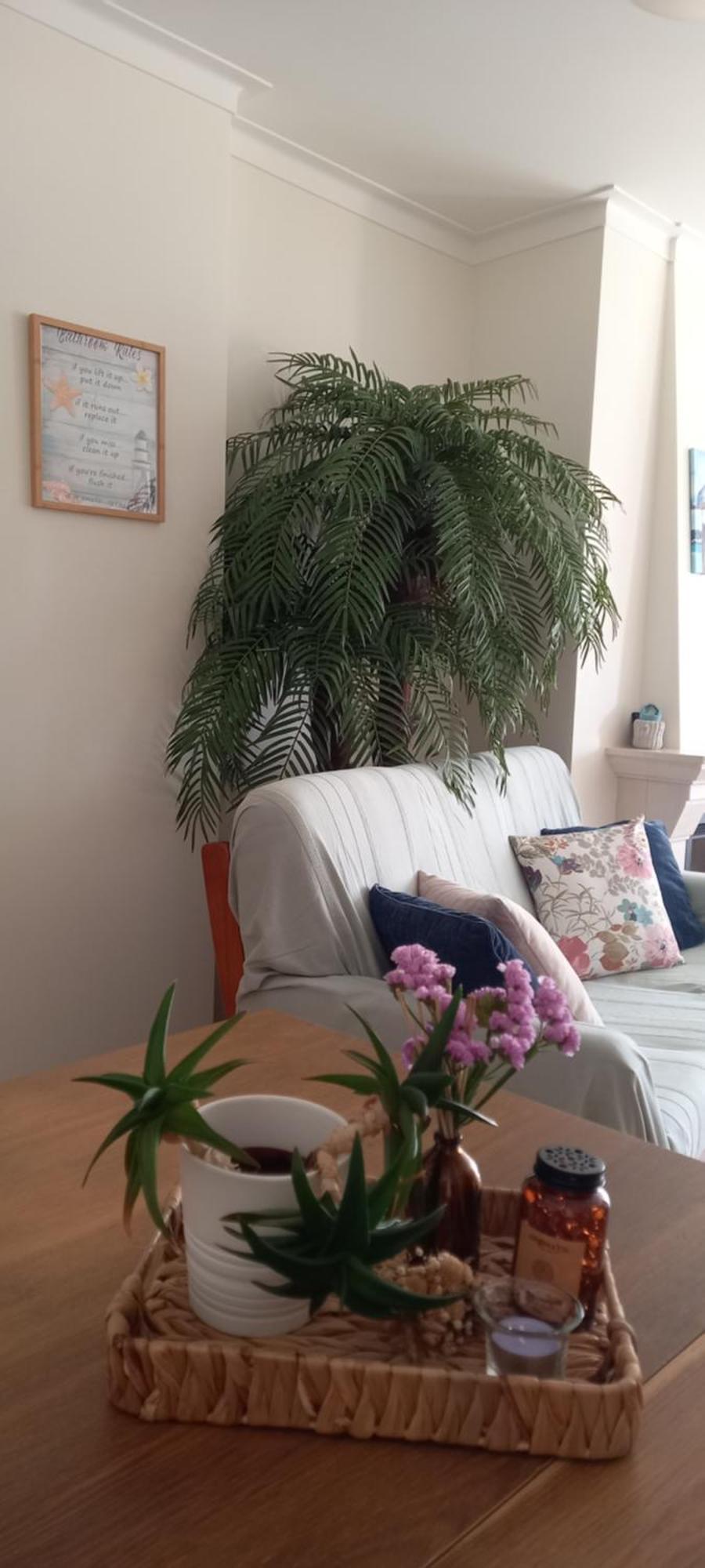 דירות בליאל Filipe'S House מראה חיצוני תמונה